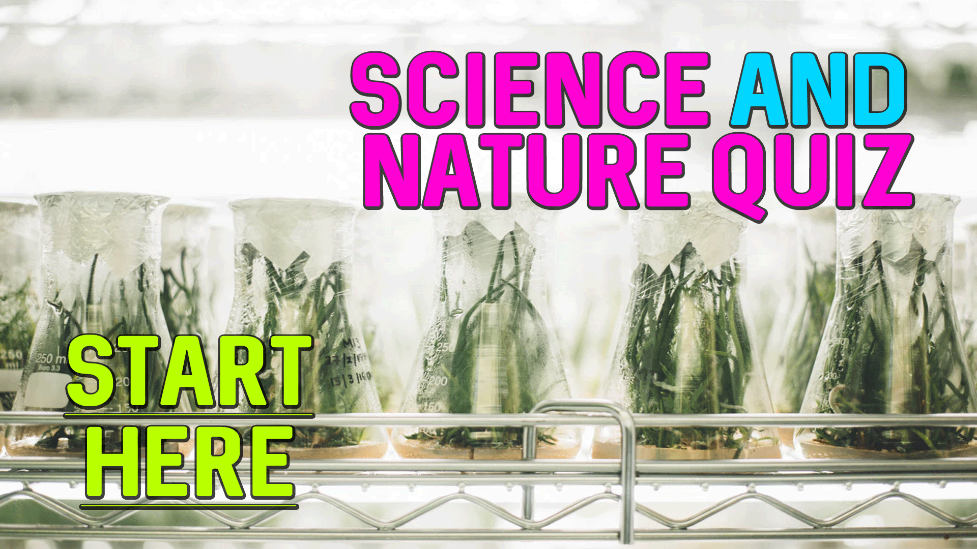 Science Nature Trivia Quiz